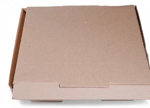 Pizza Qutusu